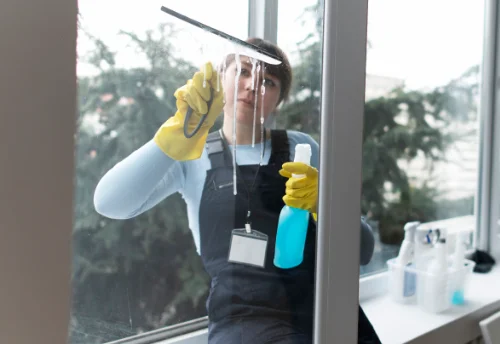 Nettoyage de vitres intérieures et extérieures à Vinzelles